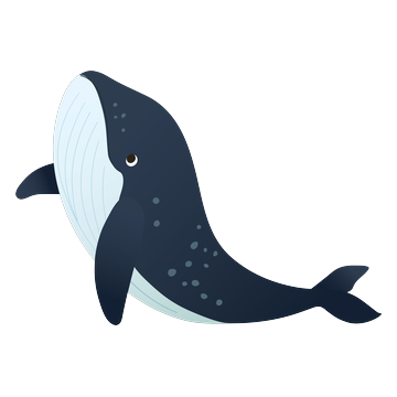 Bello the Whale